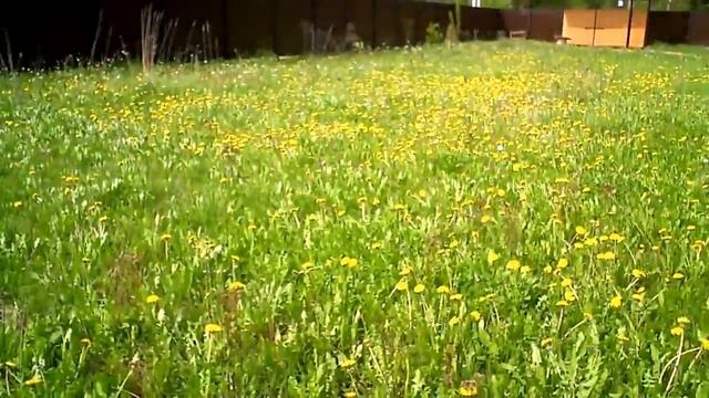 ручные культиваторы торнадо леруа мерлен смотреть онлайн