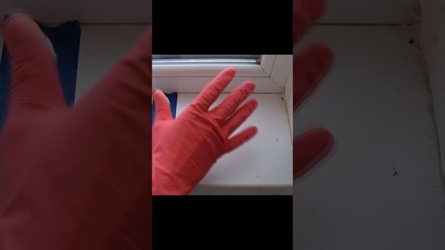 Как отмыть и отбелить пластиковый подоконник! Супер способ! смотреть онлайн