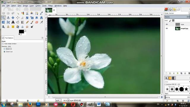 GIMP 2.8.18 Activity5 смотреть онлайн