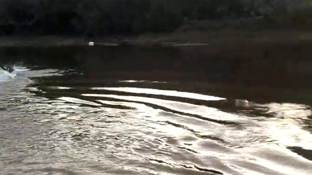 VID Барс на Ине смотреть онлайн