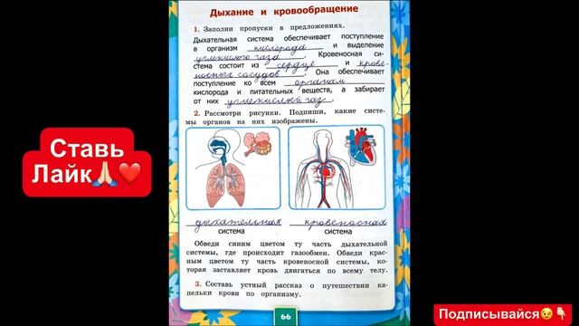 ГДЗ по окружающему миру 3 класс рабочая тетрадь Соколова страница 66 смотреть онлайн