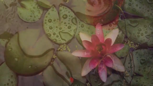 Relaxing Piano Music Water Sounds, Relaxing Music, Sleep Music, Fall Asleep. смотреть онлайн