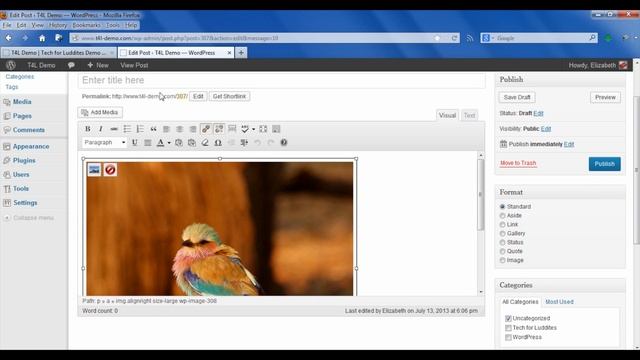 How To Resize Images In WordPress For Performance : WordPress: Beyond The Basics