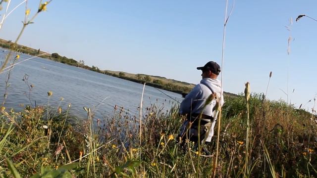 Зачетный окунь на джиг. Платный пруд. Часть 1. смотреть онлайн