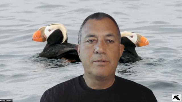 In Conservation With… Alvaro Jaramillo смотреть онлайн