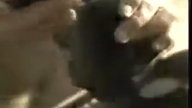 Olympus Commercial Featuring Barry Lategan HonFRPS смотреть онлайн