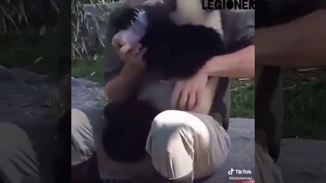 Год быка смотреть онлайн