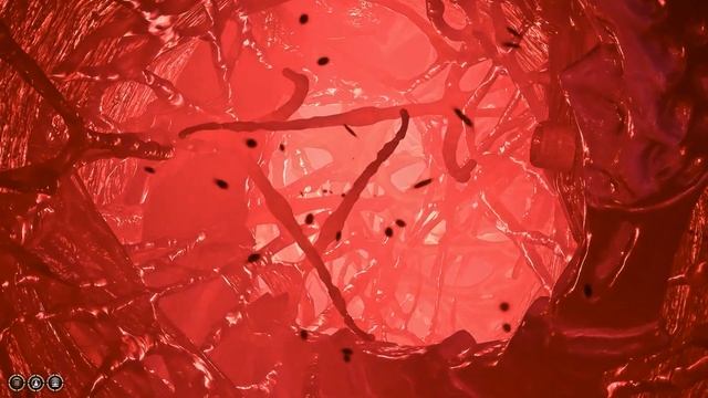 Shadowheart sticks her hand in a strange hole | Astarion reaction смотреть онлайн