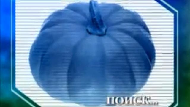 Биология 76. Натуральные мочалки. Лосось. Крик филина — Академия занимательных наук смотреть онлайн