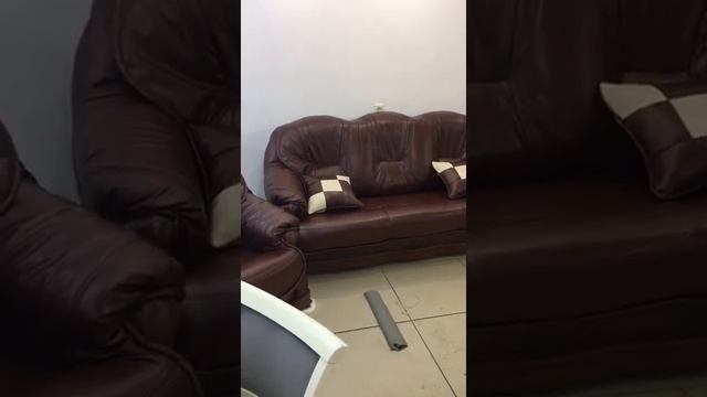 мебель золотой слон смотреть онлайн