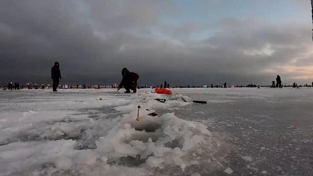 За корюшкой, дамба, южная ветка, 09.01.2021