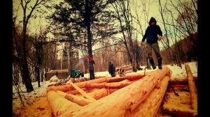 СТРОИМ В ТАЙГЕ ИЗБУ, НА НОВОМ УЧАСТКЕ.