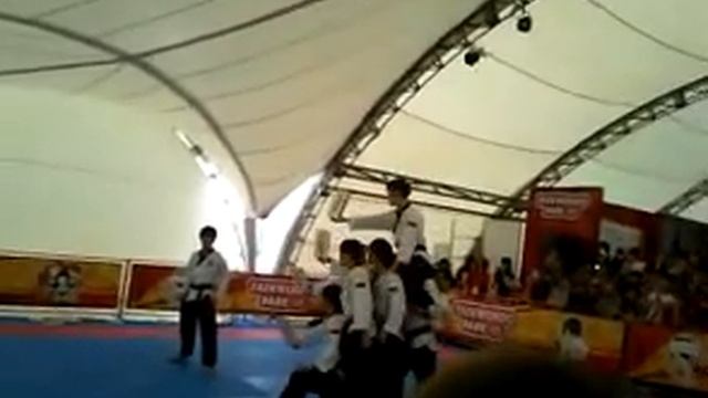 Тхеквондо. #TKD2015 смотреть онлайн