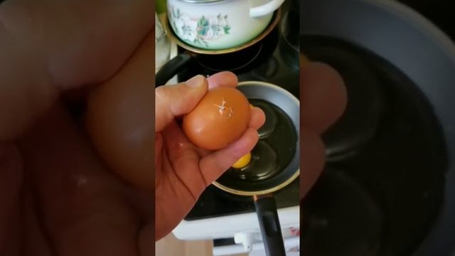 Живое яйцо! смотреть онлайн
