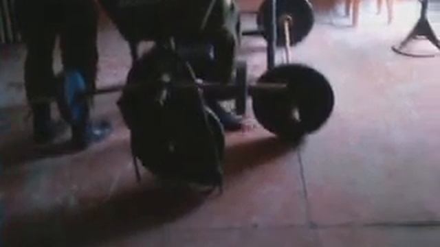 Слон спит ржачь смотреть всем смотреть онлайн