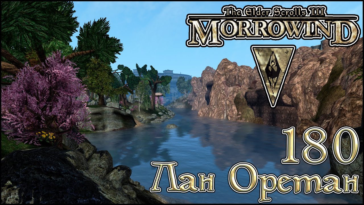 Morrowind Tamriel Rebuilt ► Lan Orethan, 118 (180) #shorts смотреть онлайн