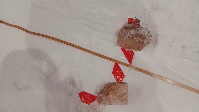 начало камера 1 смотреть онлайн