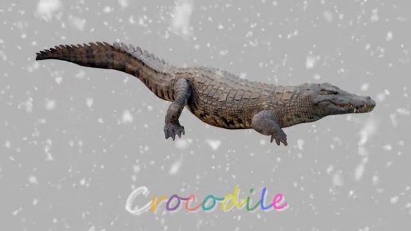 Meaning of dreaming with crocodile