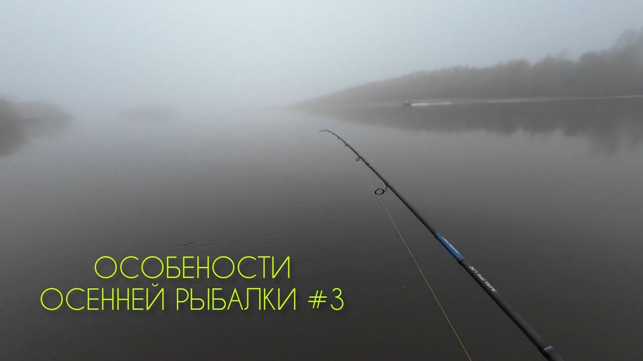 ЩУКА НА БУЛЮ #3 #рыбалка #щука #спининг #fishing #pike #pikefishing