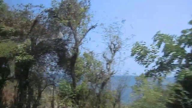 Отзыв #Дайвинг в #Амед #Bali цены на #Бали смотреть онлайн