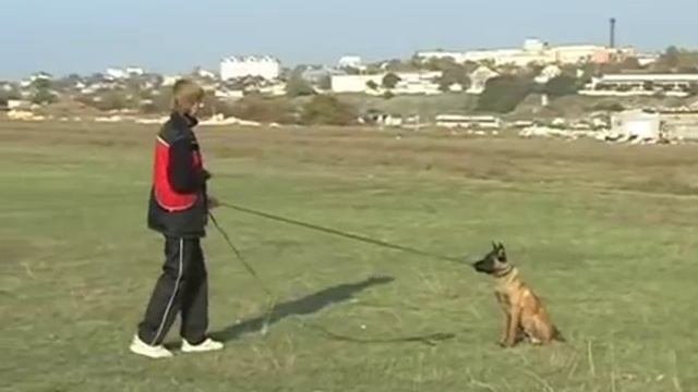 Первые шаги в послушании (часть-2) 