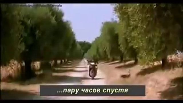 ))))) Узнать сколько время пощупав осла смотреть онлайн