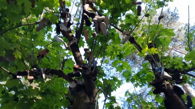 Переделкино смотреть онлайн