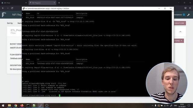 Git, Apache NiFi Registry и CI/CD смотреть онлайн