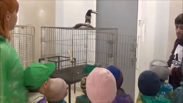 Живые тропики смотреть онлайн