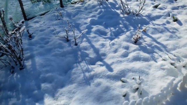 У НАС СНОВА ЗИМА. 15 АПРЕЛЯ ВЫПАЛ СНЕГ. смотреть онлайн
