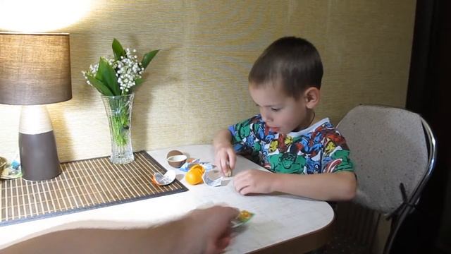 Kinder животные - тюлень смотреть онлайн