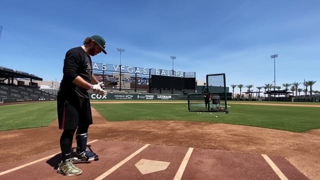 $30 WOOD BAT Vs $150 WOOD BAT - Louisville Slugger Wood Bat Reviews - Bat Bros In VEGAS
