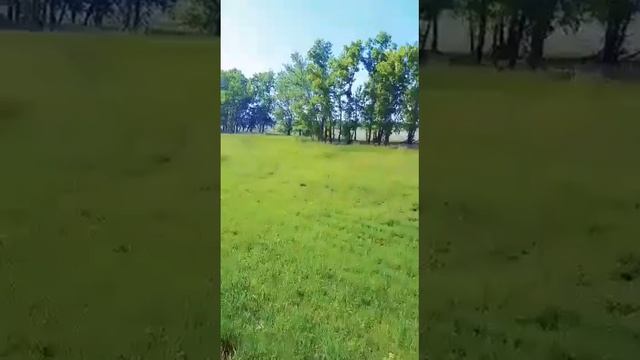 Поездка из Кемерово в село Красное Ленинск-Кузнейкий район. смотреть онлайн