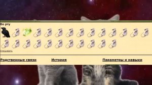 факты о ЗВЁЗДНОМ ПЛЕМЕНИ [CatWar]