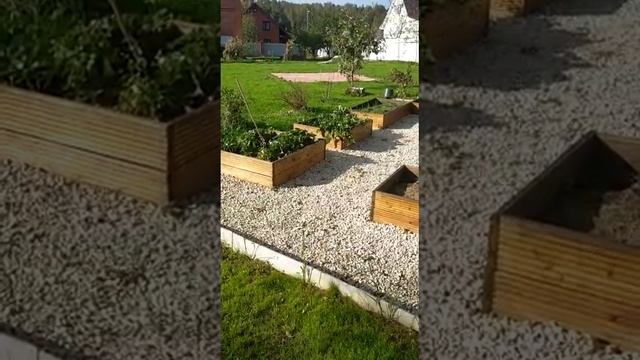 Теплая осень. Яркая зелень газона. смотреть онлайн