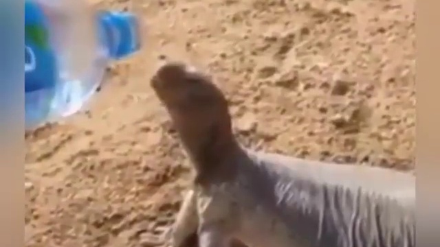 сострадание смотреть онлайн