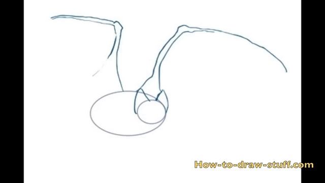 How to Draw a Bat Step by Step смотреть онлайн