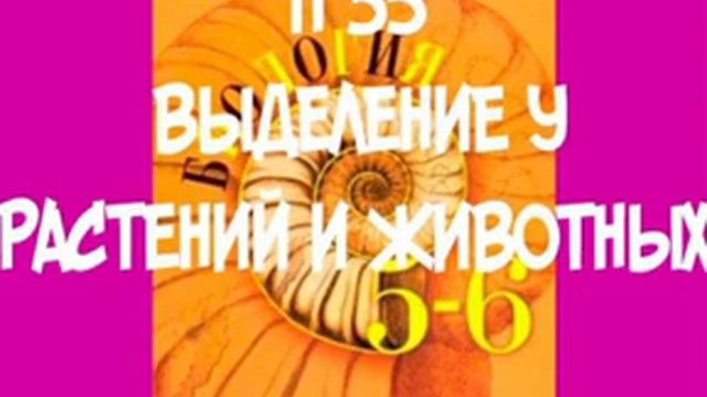 5-6 КЛАСС П 35 ВЫДЕЛЕНИЕ У РАСТЕНИЙ И ЖИВОТНЫХ / ЛИСТОПАД / СОКРАТИТЕЛЬНАЯ ВАКУОЛЬ НЕФРИДИИ ПОЧКИ смотреть онлайн