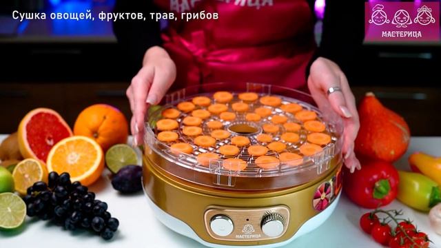Сушилка для овощей Мастерица EFD-3051 бело-золотистая D 26 см