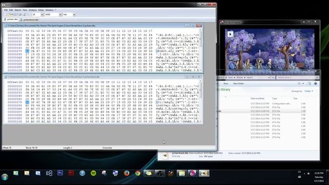 Hex Editing [HD] #5 Encrypted Files смотреть онлайн