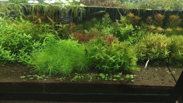 10 преимуществ осмотической воды над водопроводной смотреть онлайн