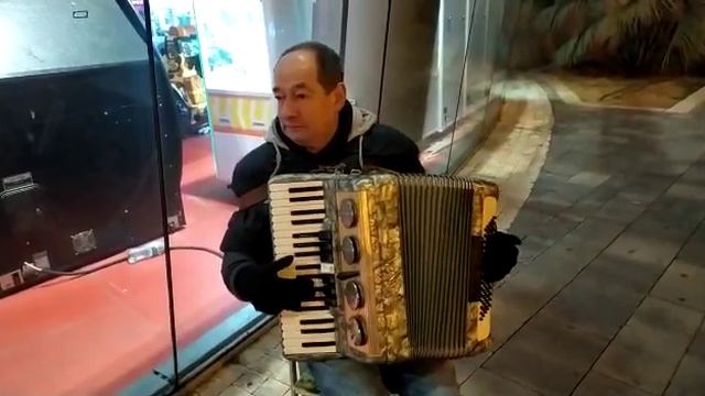 Sting - Shape of My Heart (Leon).Играет Натан Нахимович.Аккордеон. смотреть онлайн