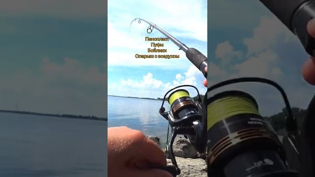 Лучшие наживки на Карася! смотреть онлайн