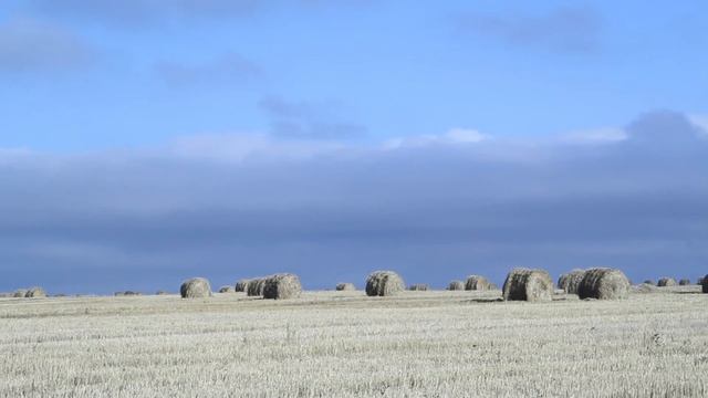 Free Nature Background Video No Copyright / Бесплатное видео природы без авторских прав - 5