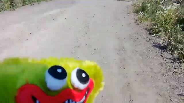 хагиш пошло с нами на речку и он нашел ракушку в речке😱😱😱 смотреть онлайн