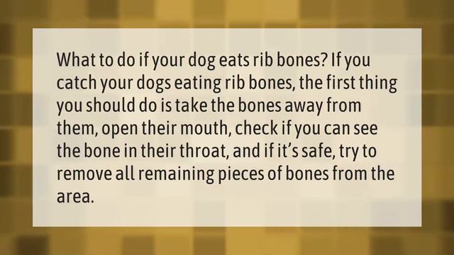Can dogs eat pork rib bones? смотреть онлайн