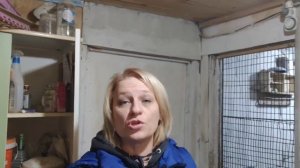 Фуз подсолнечный для кур: полезно и выгодно