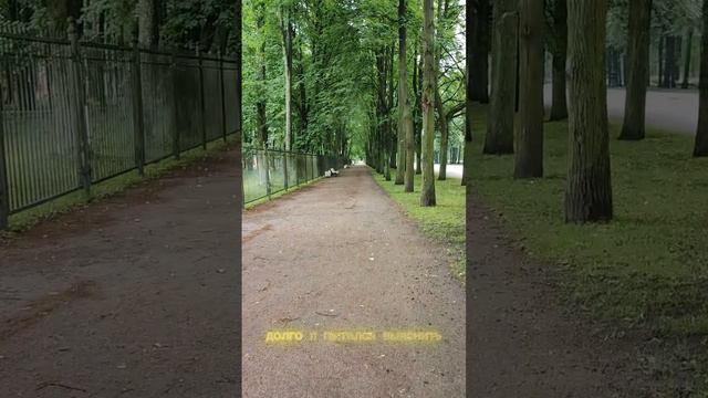 Что такое биткоин!?