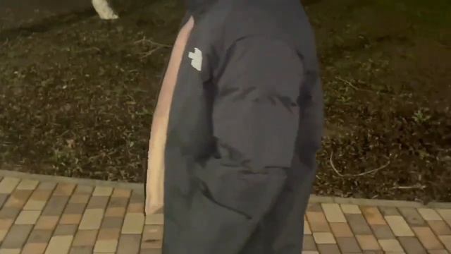 Зимняя Куртка The North Face Двухсторонняя. Обзор. смотреть онлайн