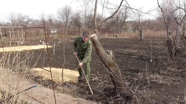 Когда лучше делать обрезку деревьев׃ весной или осенью? смотреть онлайн